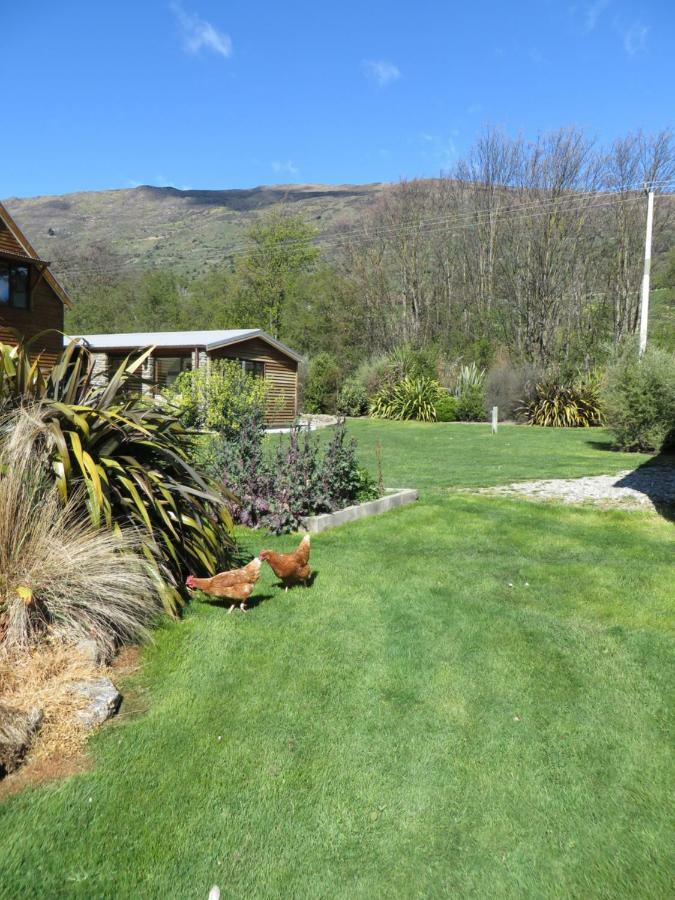 Quiet Studio In Paradise Wanaka Exterior foto