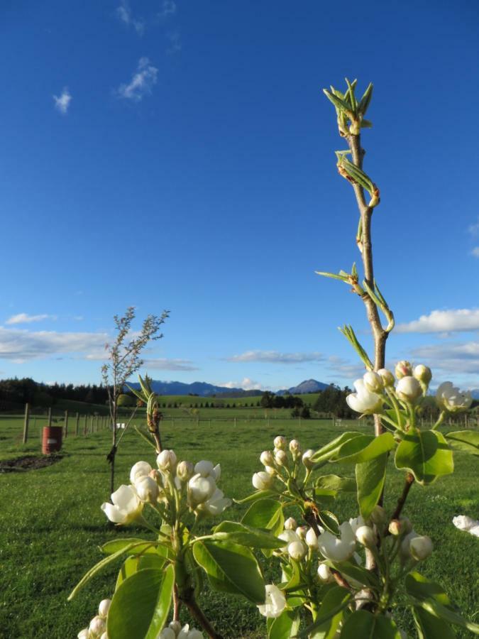 Quiet Studio In Paradise Wanaka Exterior foto